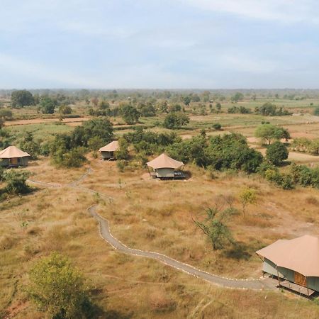 Trees N Tigers, Tadoba Hotell Kolāra Eksteriør bilde